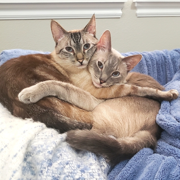 Meet your Posher, Wendy - Picture 2 of 8